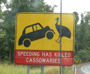 cassowary sign